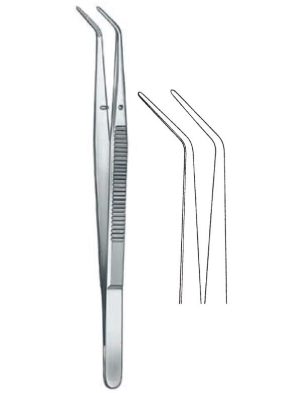 Dental And Oral Surgery