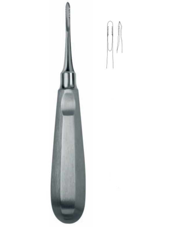 Dental Elevators