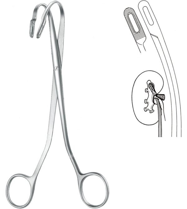 Urology