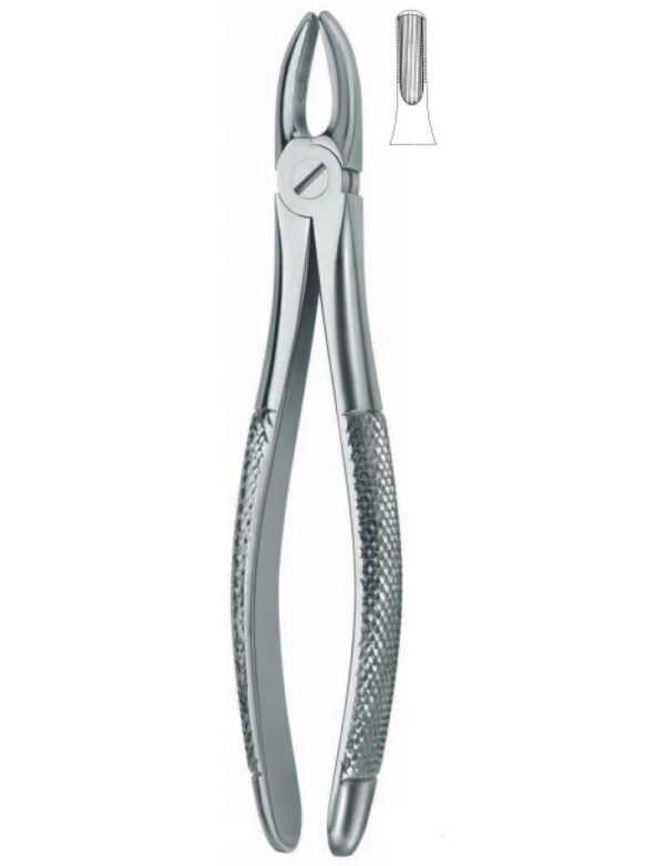 Extracting Forceps