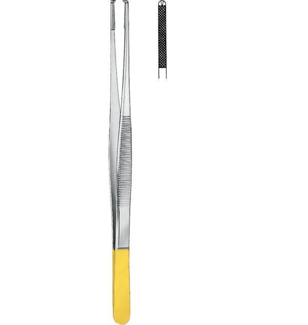Forceps
