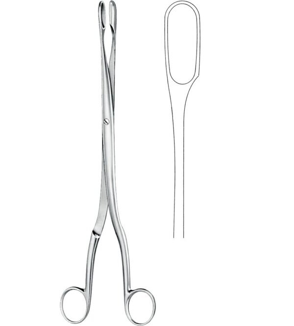 Obstetrics