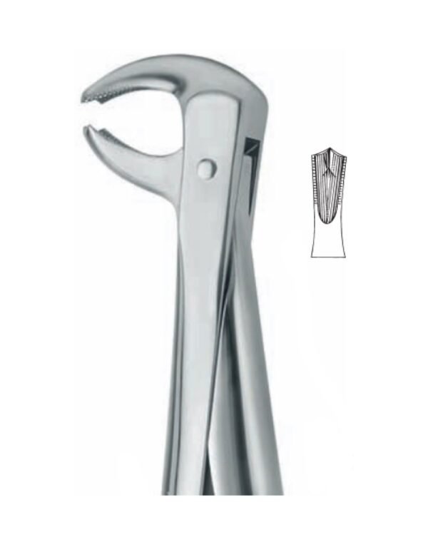Extracting Forceps