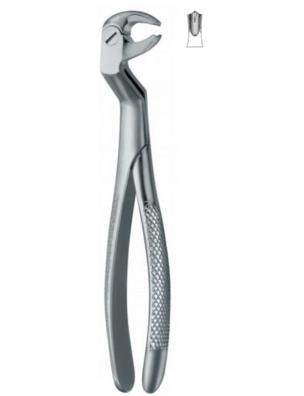 Extracting Forceps