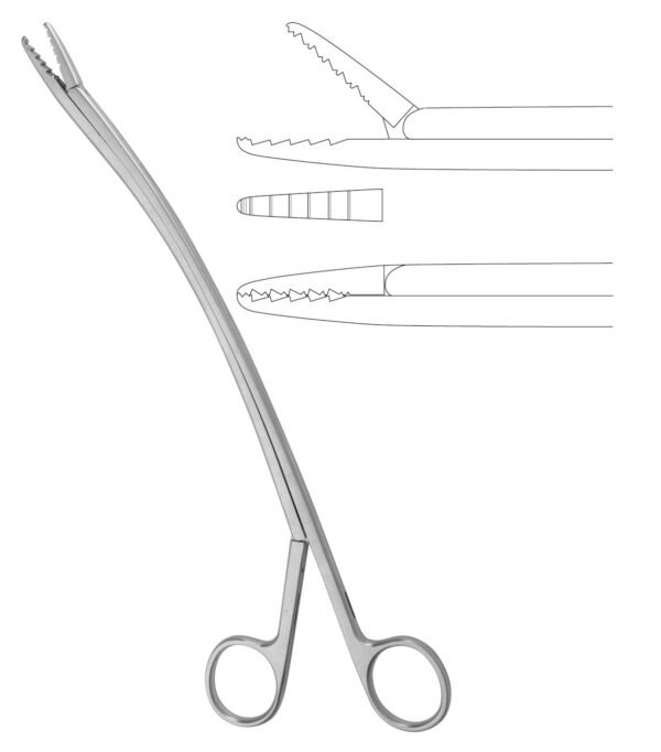 Cardiovascular  Neuro