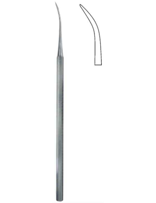 Dental And Oral Surgery