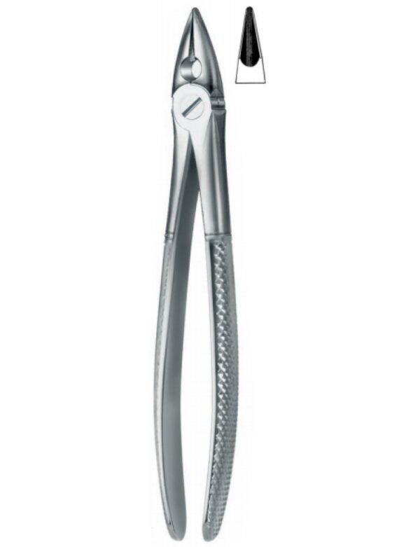 Extracting Forceps