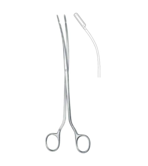 Urology