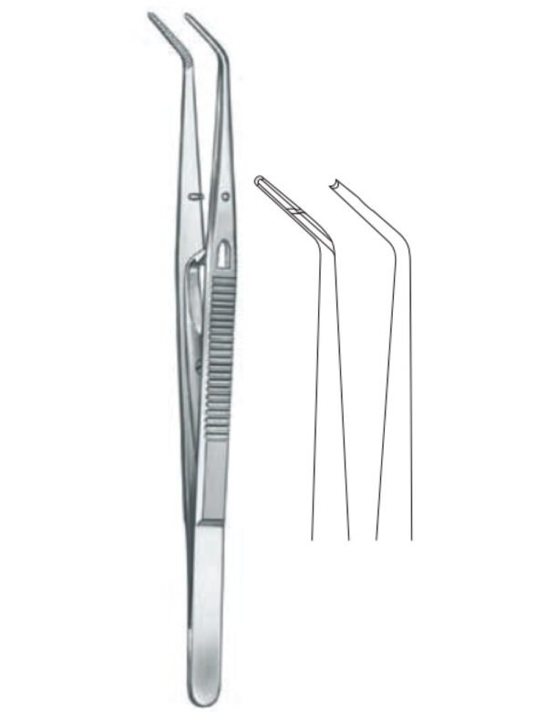 Dental And Oral Surgery