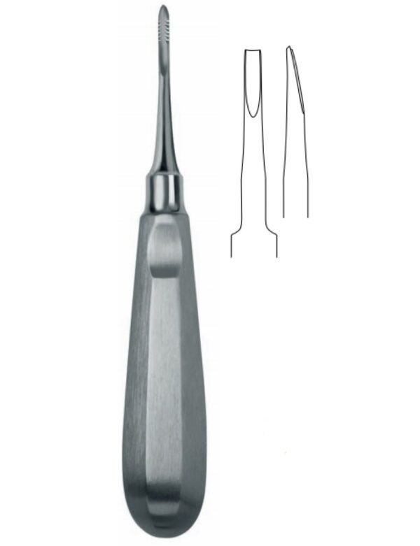 Dental Elevators