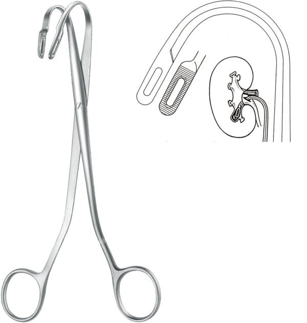 Urology