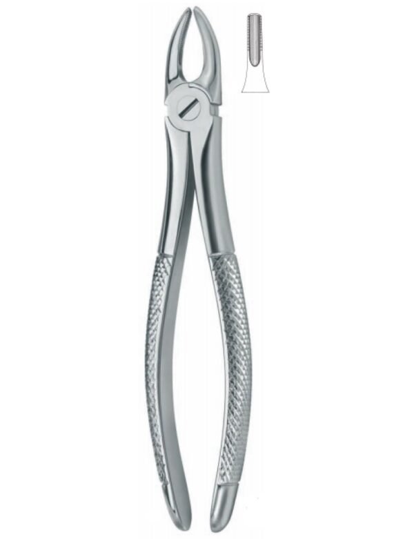 Extracting Forceps