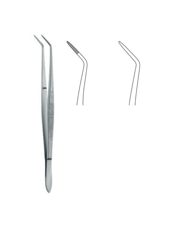 Dental And Oral Surgery