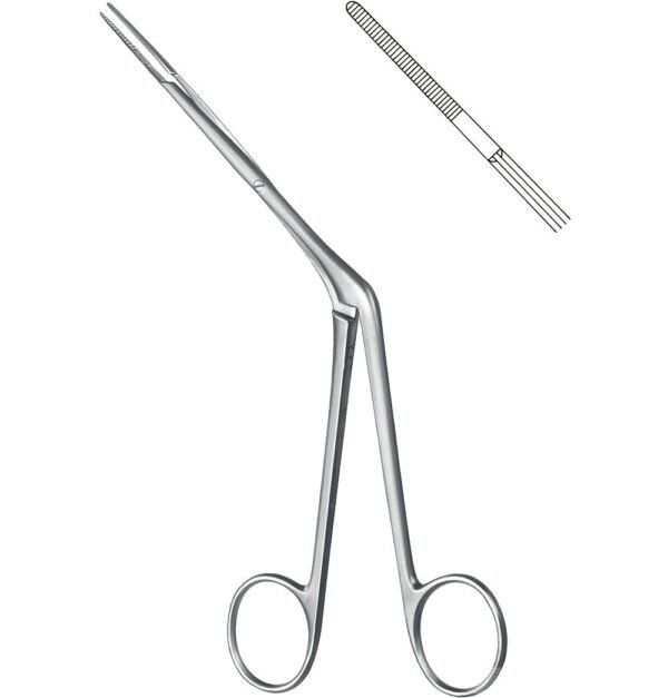 Rhinology
