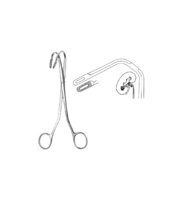 Urology