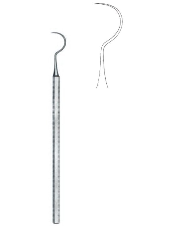 Dental And Oral Surgery