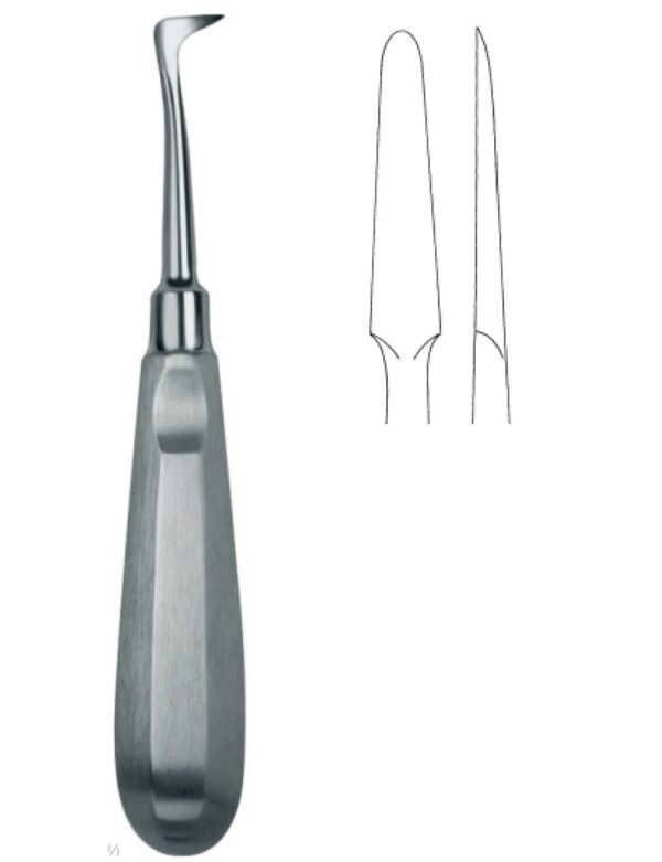 Dental Elevators