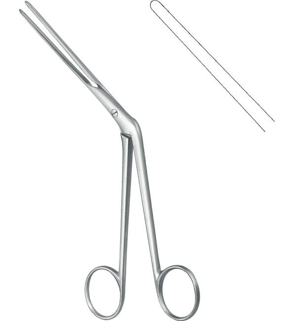 Rhinology