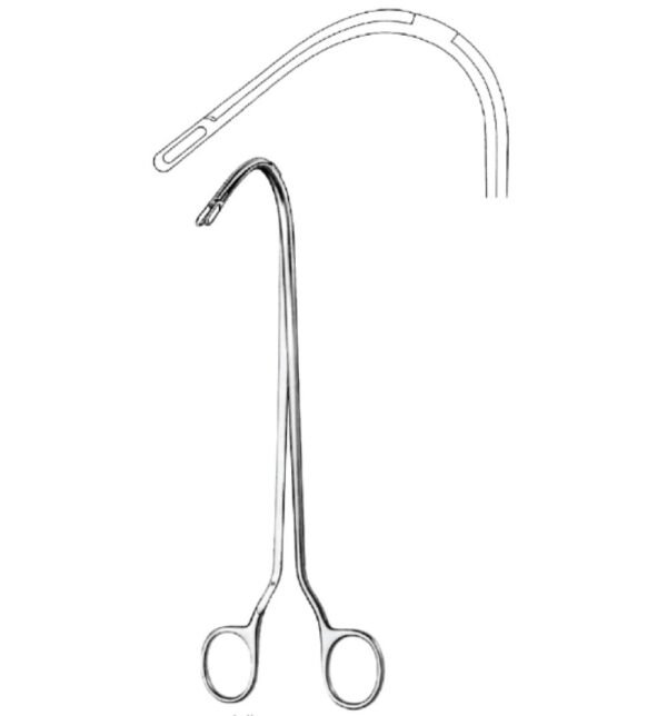 Urology
