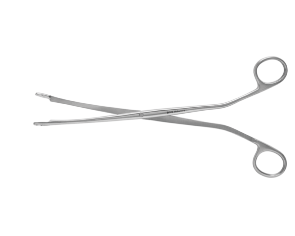 Forcesp