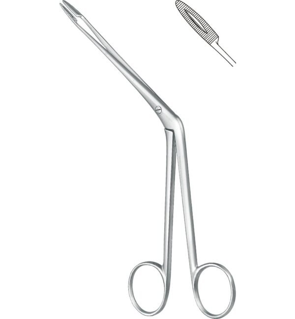 Rhinology