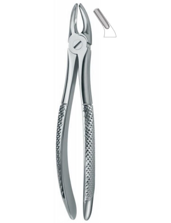 Extracting Forceps