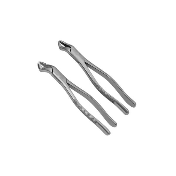 Dental extraction forceps