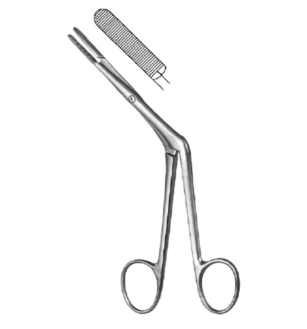 Rhinology