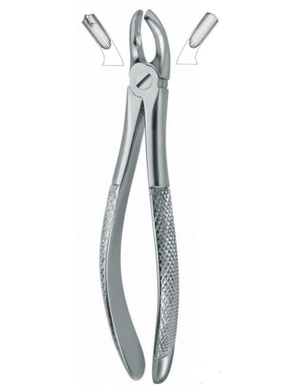 Extracting Forceps