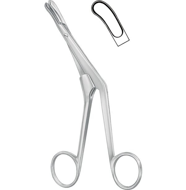 Rhinology
