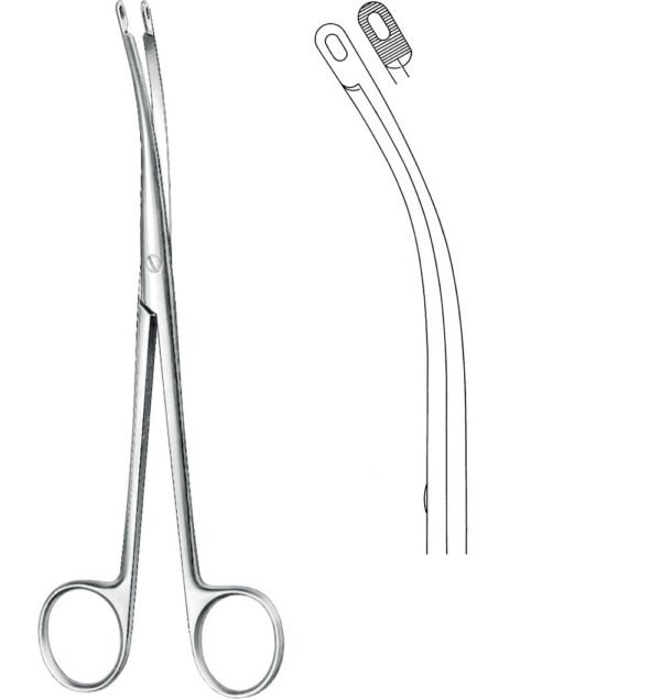 Urology