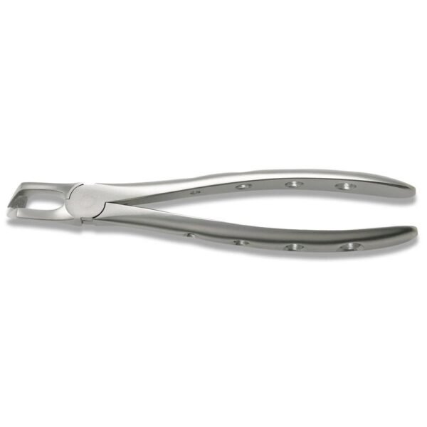 Dental extraction forceps