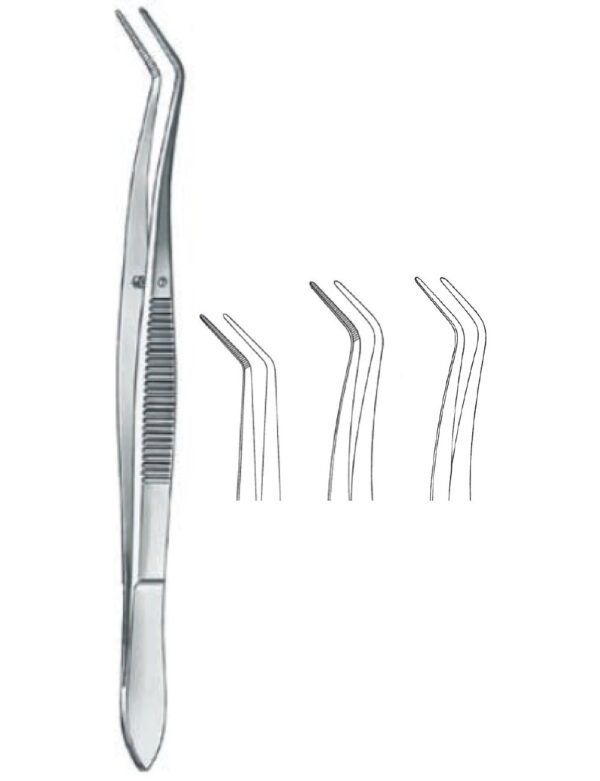 Dental And Oral Surgery