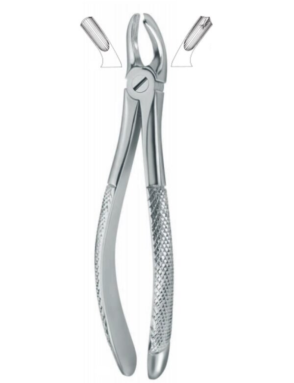 Extracting Forceps