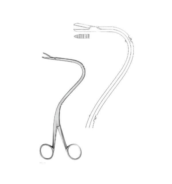 Urology