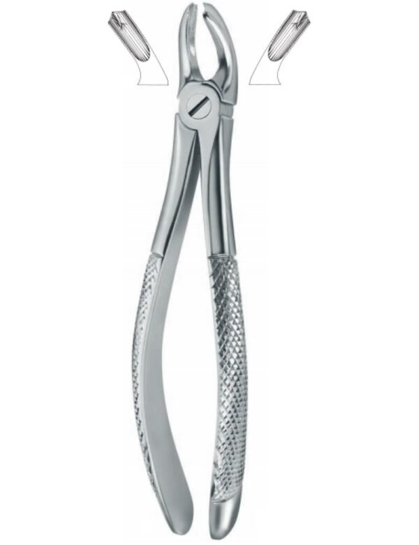 Extracting Forceps