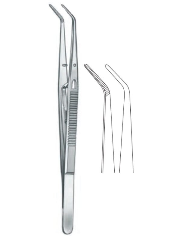 Dental And Oral Surgery