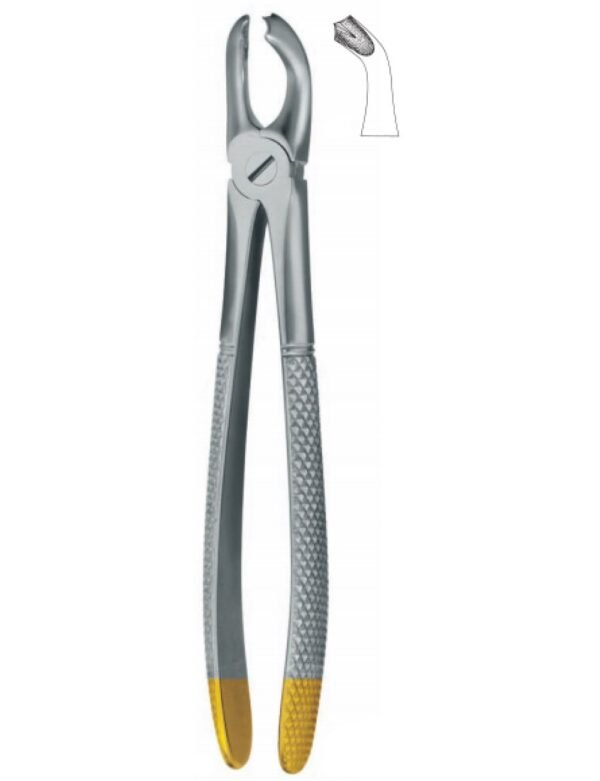 Extracting Forceps