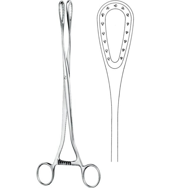 Obstetrics