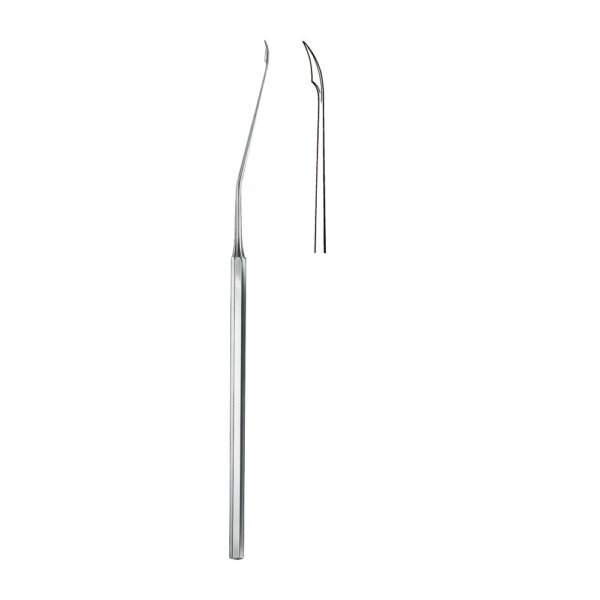 Otology
